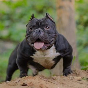 Meet your Posher, Kevin